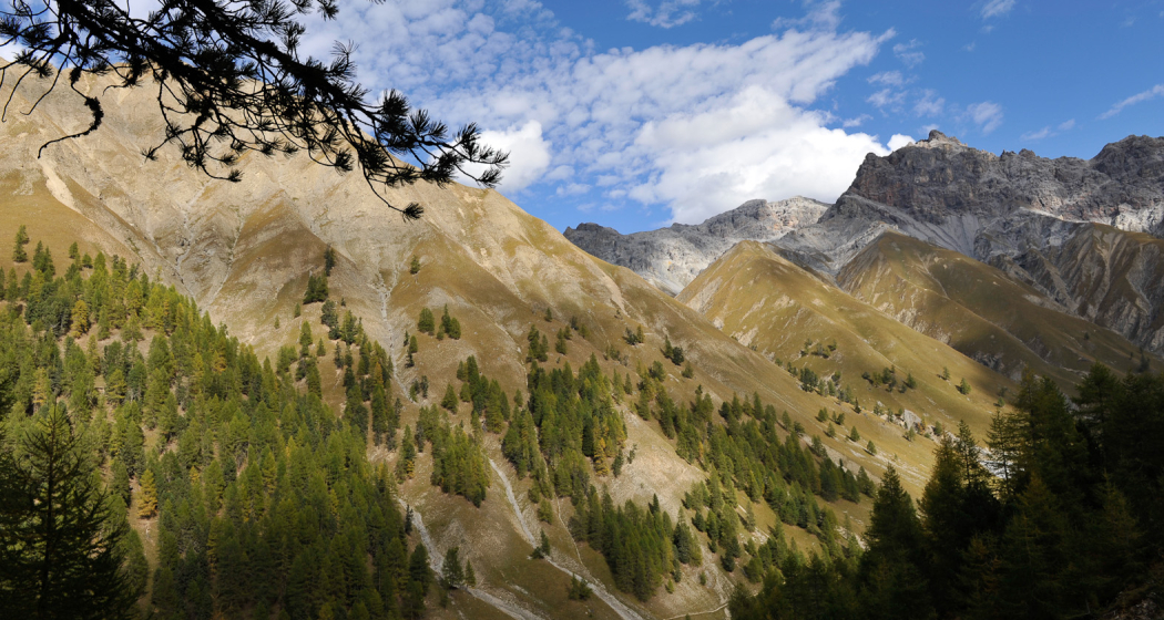 Geführte Exkursion Trupchun (nsp_img_9baa3ab)