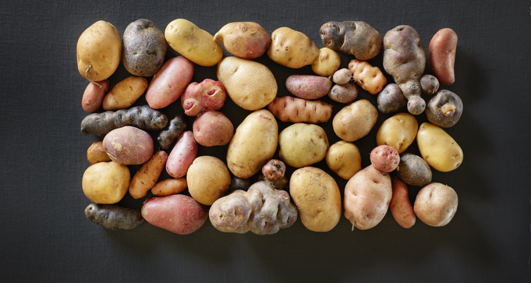 Biohof Las Sorts (nsp_img_cb23405)