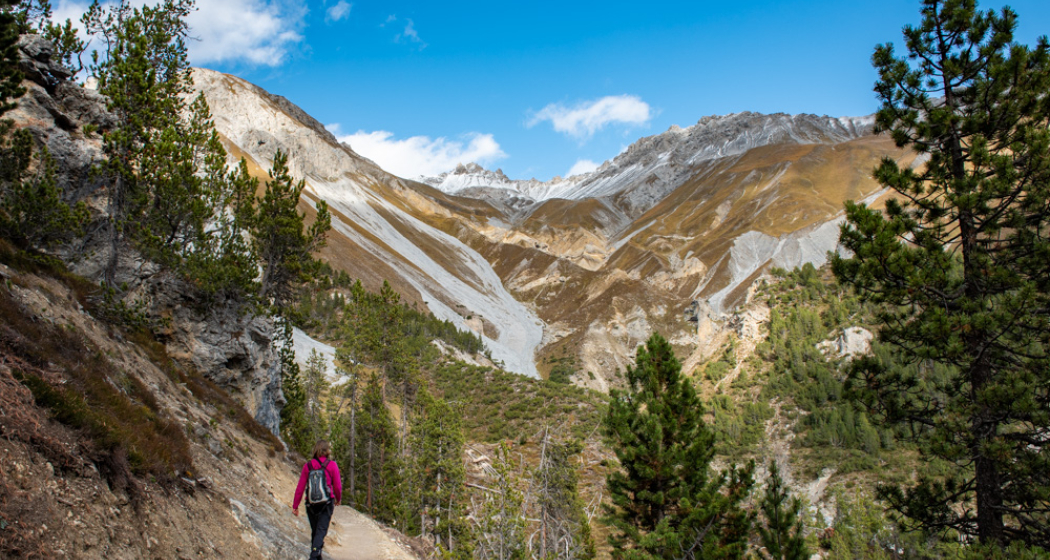 Geführte Exkursion Margunet (nsp_img_da62163)