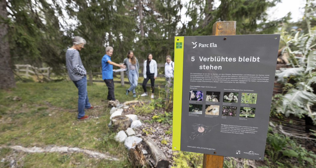 Biodiversität und Insekten (nsp_img_e344ee0)