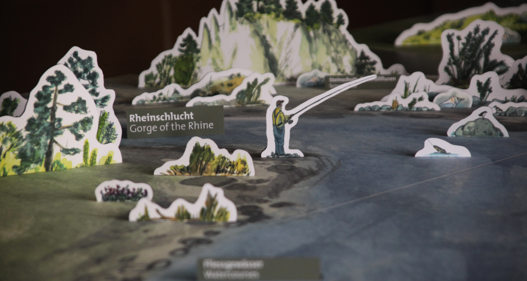 faszinaturRaum (nsp_img_e4494f8) faszinaturRaum (nsp_img_e4494f8)