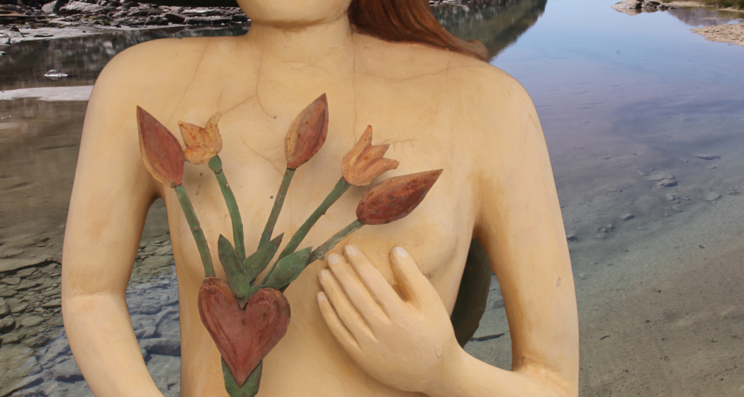 faszinaturRaum (nsp_img_ef601b4) faszinaturRaum (nsp_img_ef601b4)