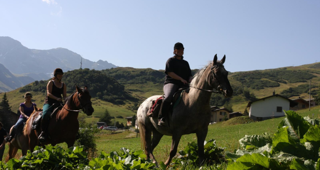 Reiten, Pferdeunterkunft Reiten, Pferdeunterkunft