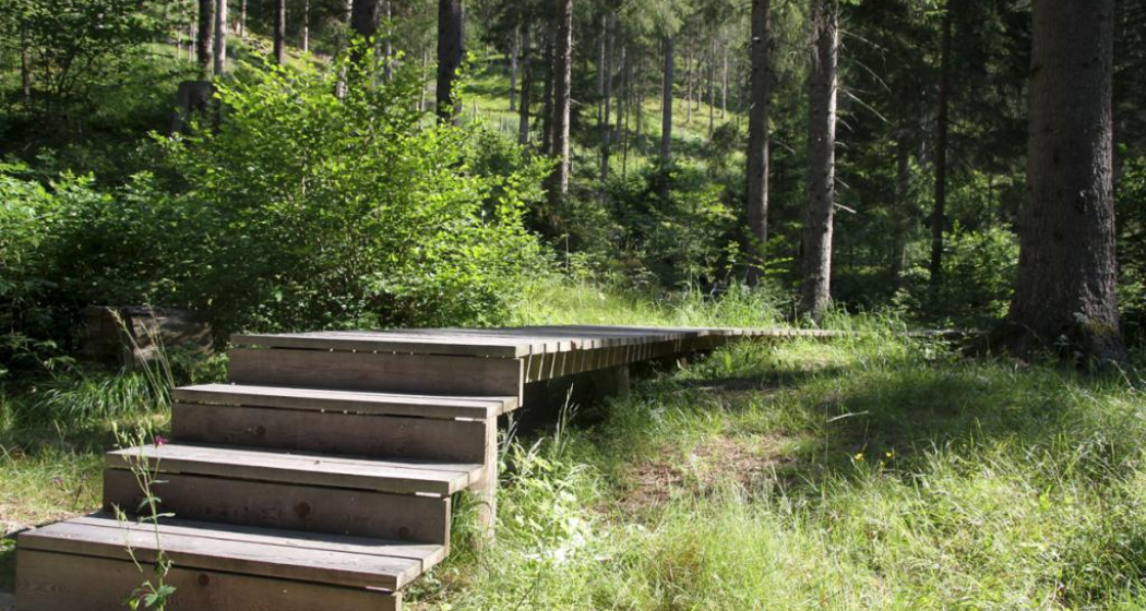 Rözenwald und Flachswaschteiche Rözenwald und Flachswaschteiche