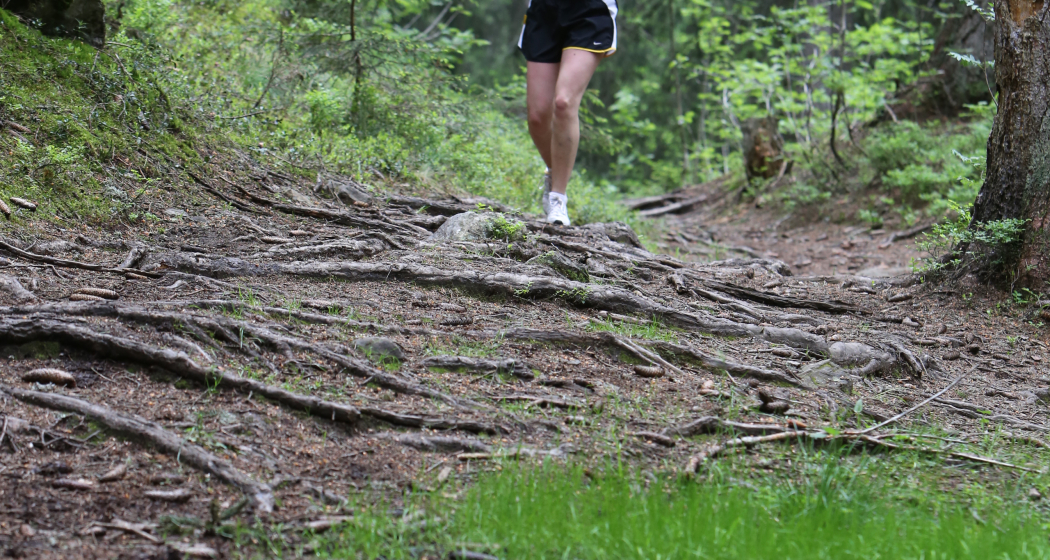 Lenzerheide - Golfplatz - Kieswerk Lantsch/Lenz - Lenzerheide