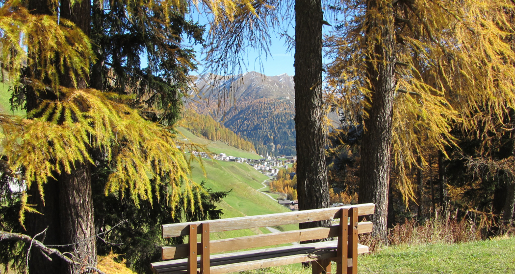 Talwanderweg am Südhang (oua_10809634_image)