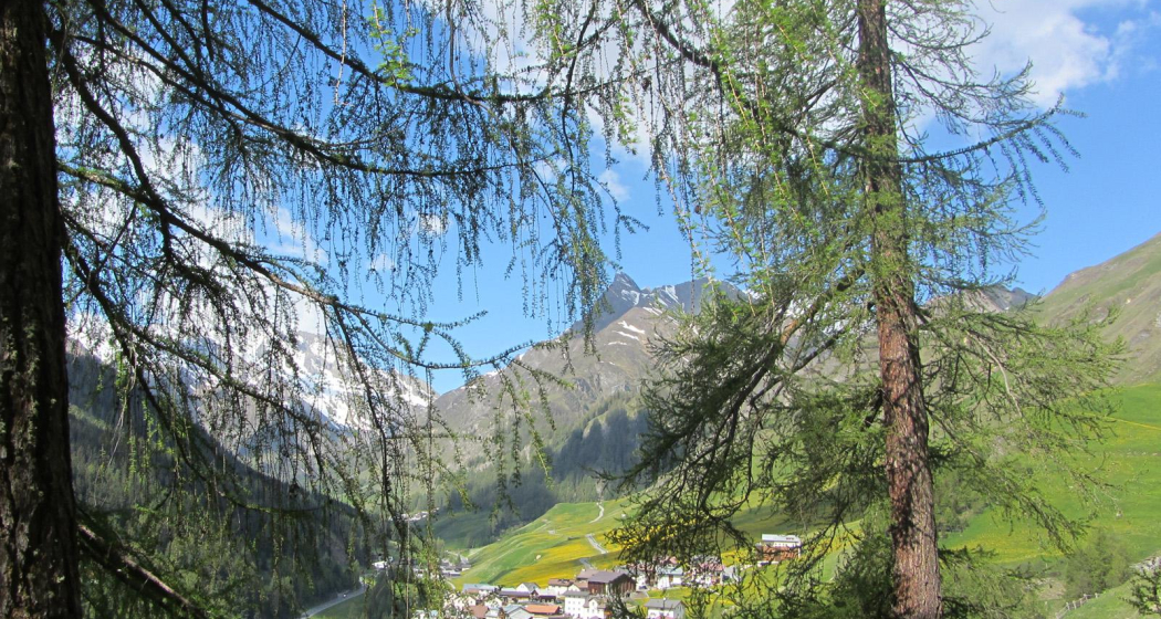 Talwanderweg am Südhang (oua_10809635_image)