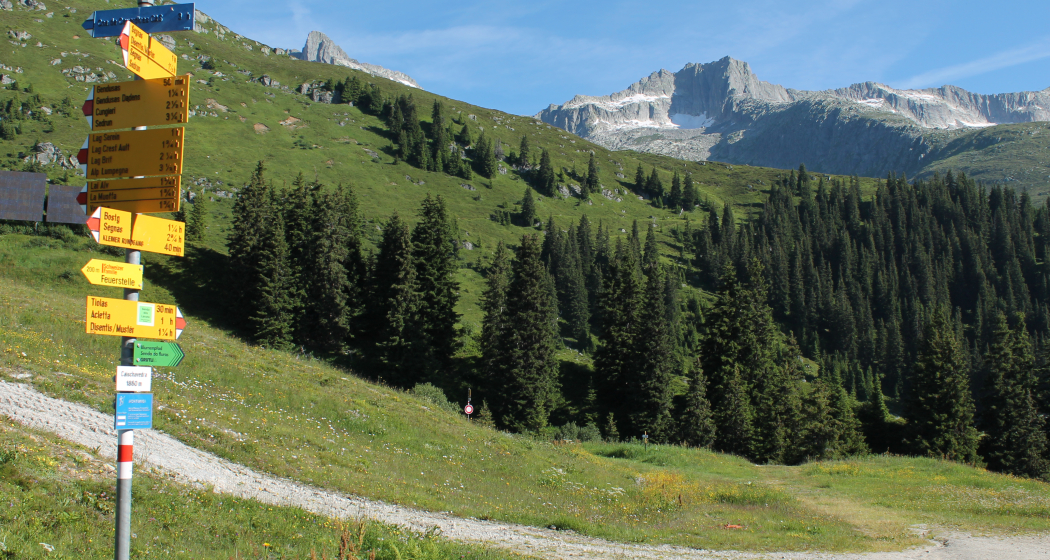 Start in Caischavedra