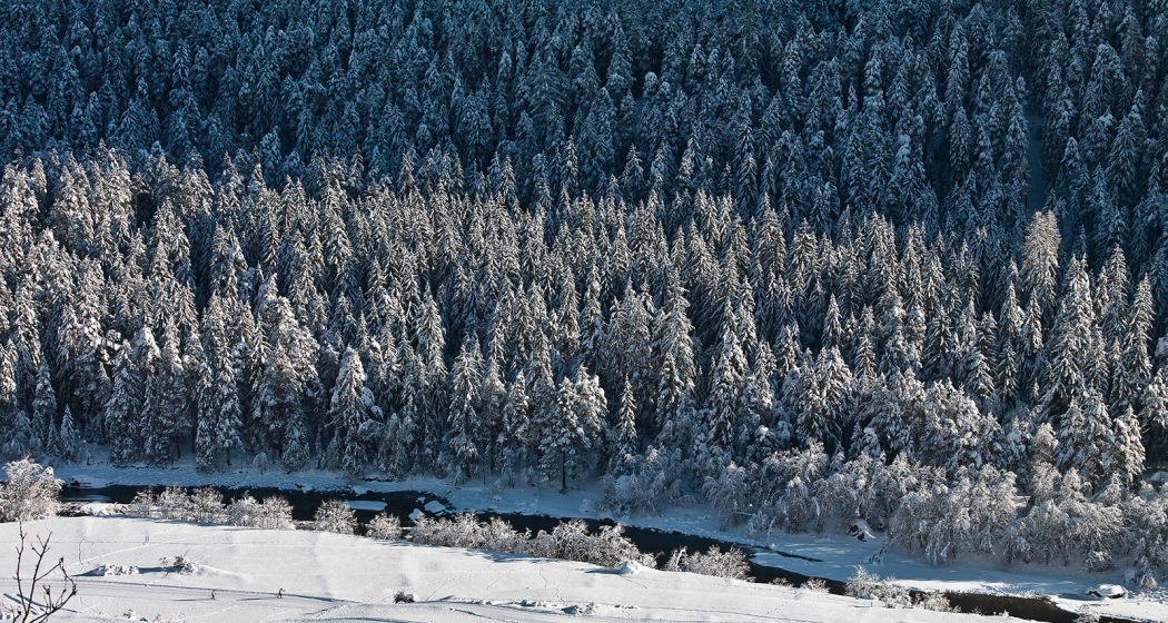 Dem Inn entlang im Unterengadin. Dem Inn entlang im Unterengadin.