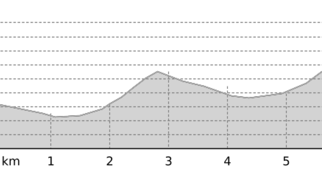 Piz Surparé 3078 m ü.M. (oua_12361990_1677fe7_profile)