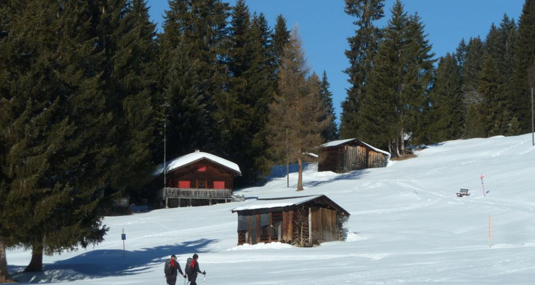 Gemütlich bergan... Gemütlich bergan...