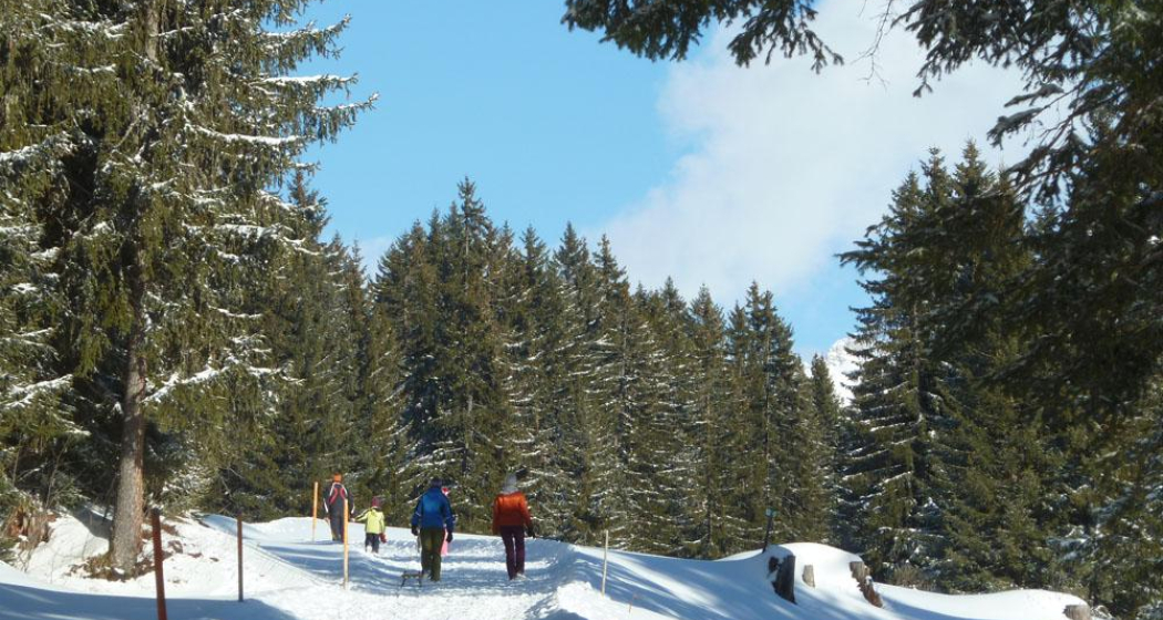 Herrliche Naturlandschaft Herrliche Naturlandschaft