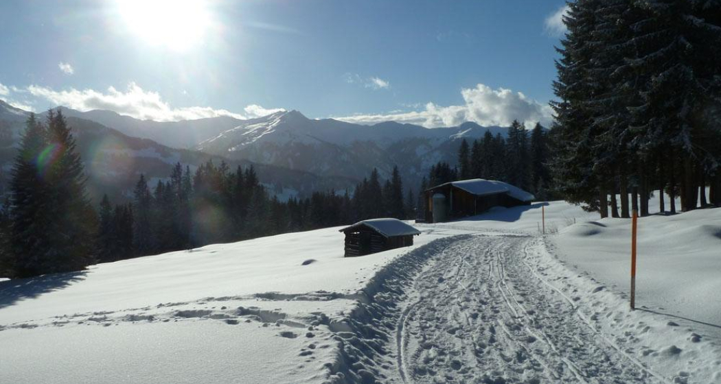 Blick übers Prättigau