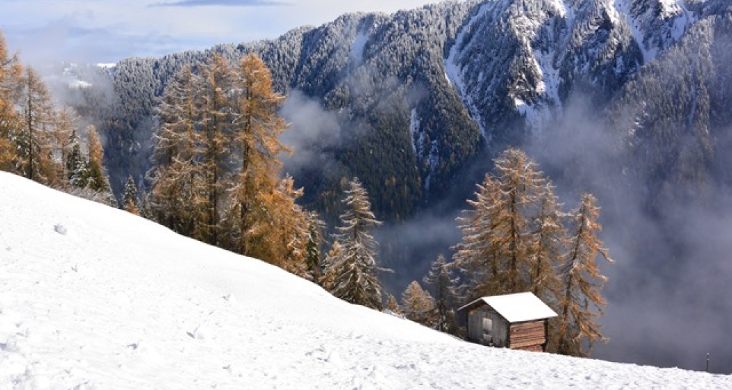 Winterwandern Waldweg Tenna (oua_13237105_image)