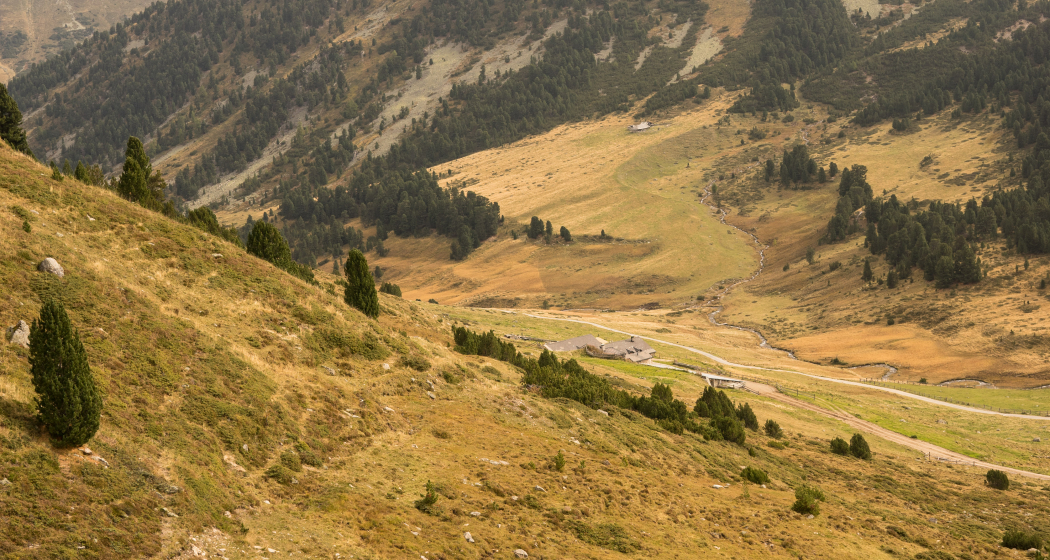 Bei der Alp Praditschöl beginnt die Wanderung Bei der Alp Praditschöl beginnt die Wanderung