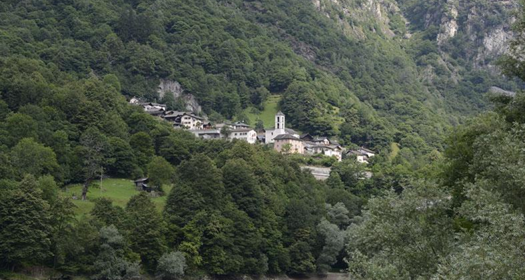 buseno buseno