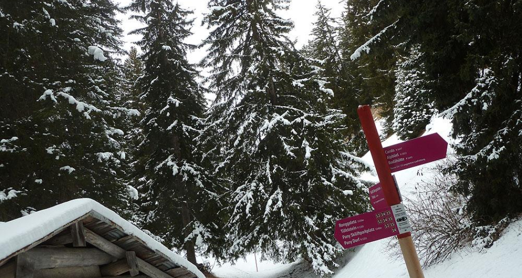 Lauschige Abschnitte durch den Winterwald (Verzweigungspunkt Waldhütte) Lauschige Abschnitte durch den Winterwald (Verzweigungspunkt Waldhütte)