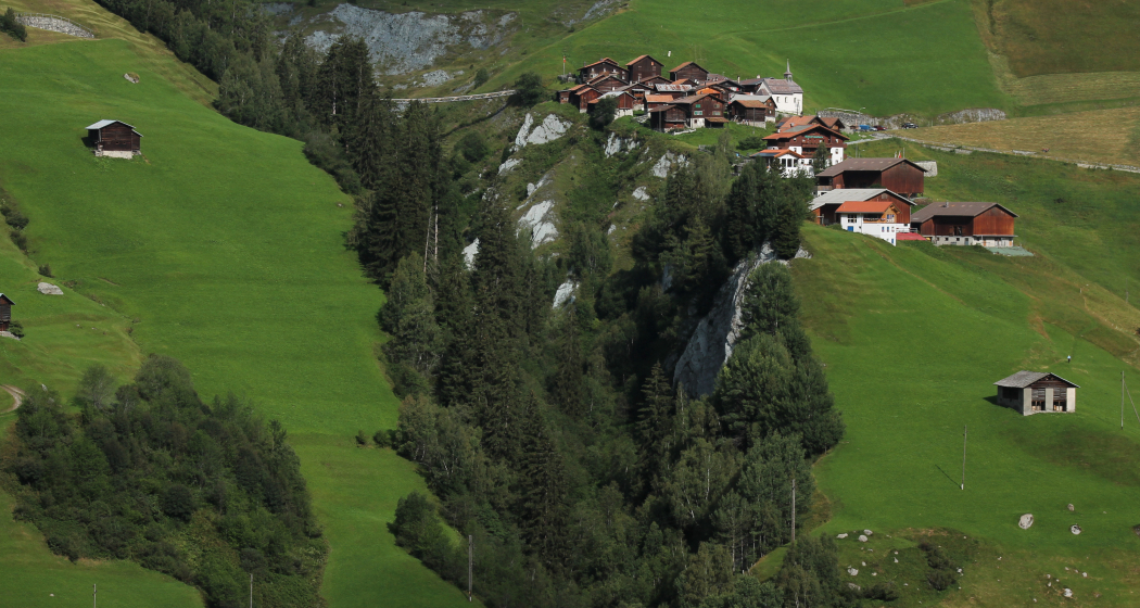 Mutschnengia Mutschnengia