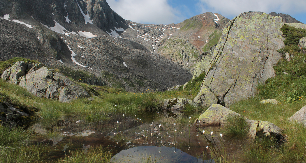 in der Nähe der Hütte in der Nähe der Hütte