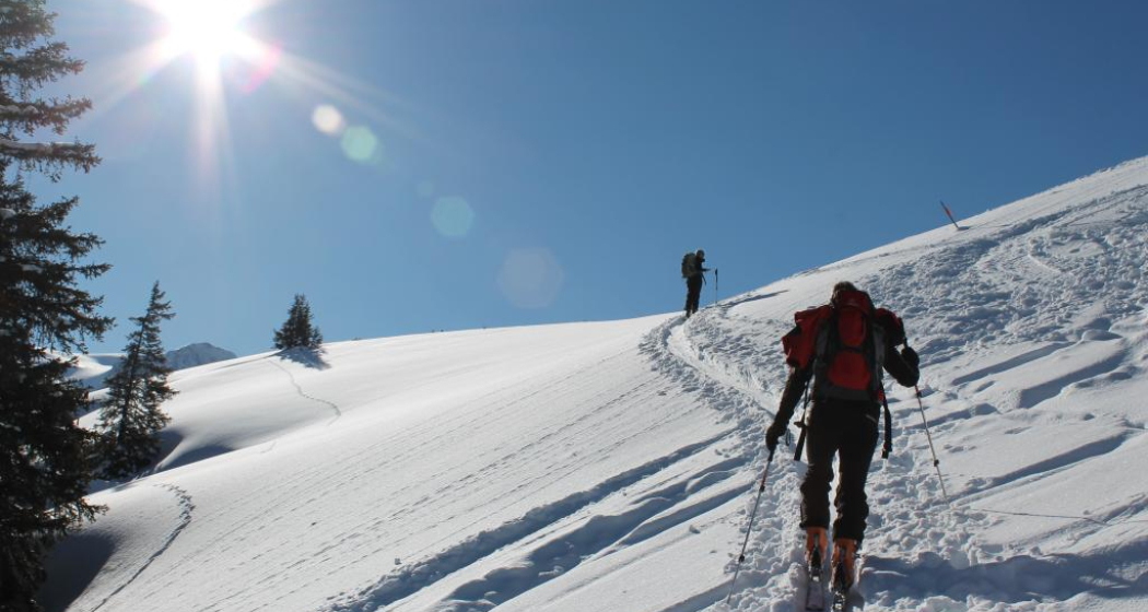 Vor Tegia Nova Vor Tegia Nova