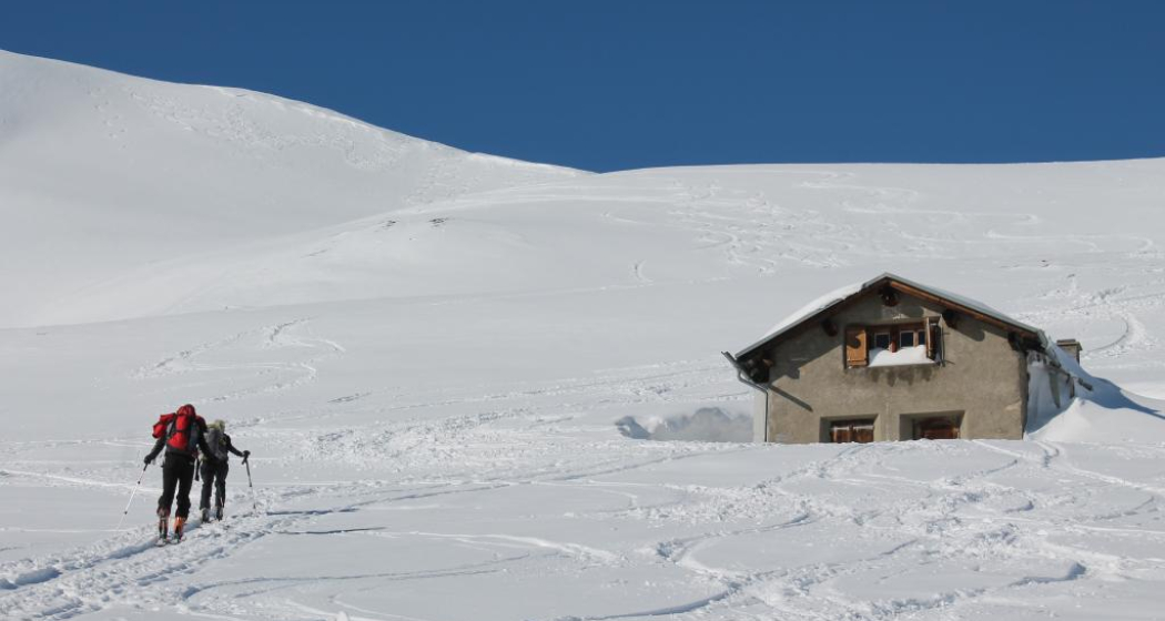 Tegia Nova Tegia Nova