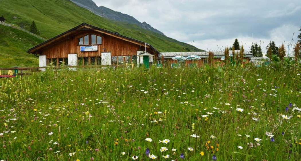 Bergrestaurant Gadastatt Bergrestaurant Gadastatt