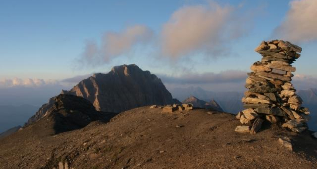 Faltschonhorn; Foto: Markus Schlegel Faltschonhorn; Foto: Markus Schlegel
