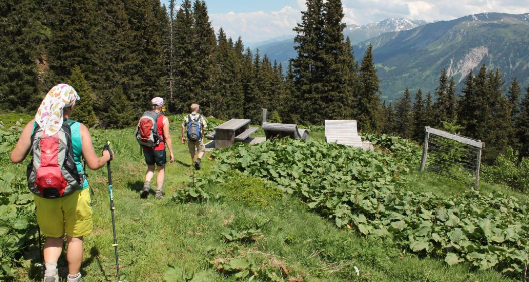 Alp Magriel Alp Magriel