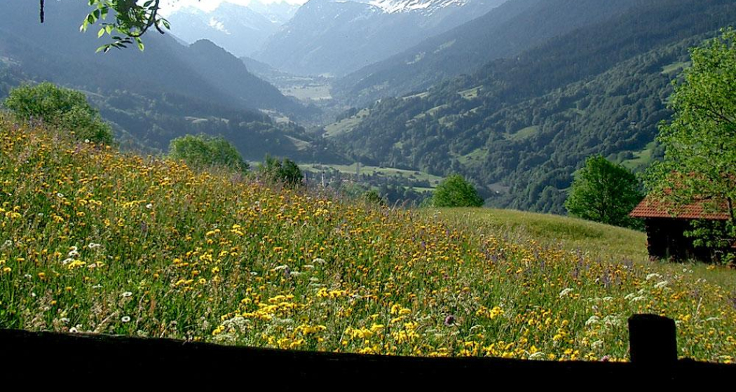 Blick von Plävigin Richtung Klosters Blick von Plävigin Richtung Klosters