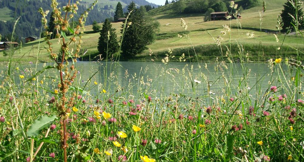 Plävigginersee Plävigginersee