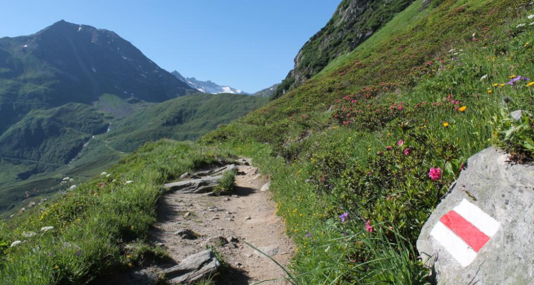 Der Weg ins Val Maighels und Richtung Tomasee Der Weg ins Val Maighels und Richtung Tomasee
