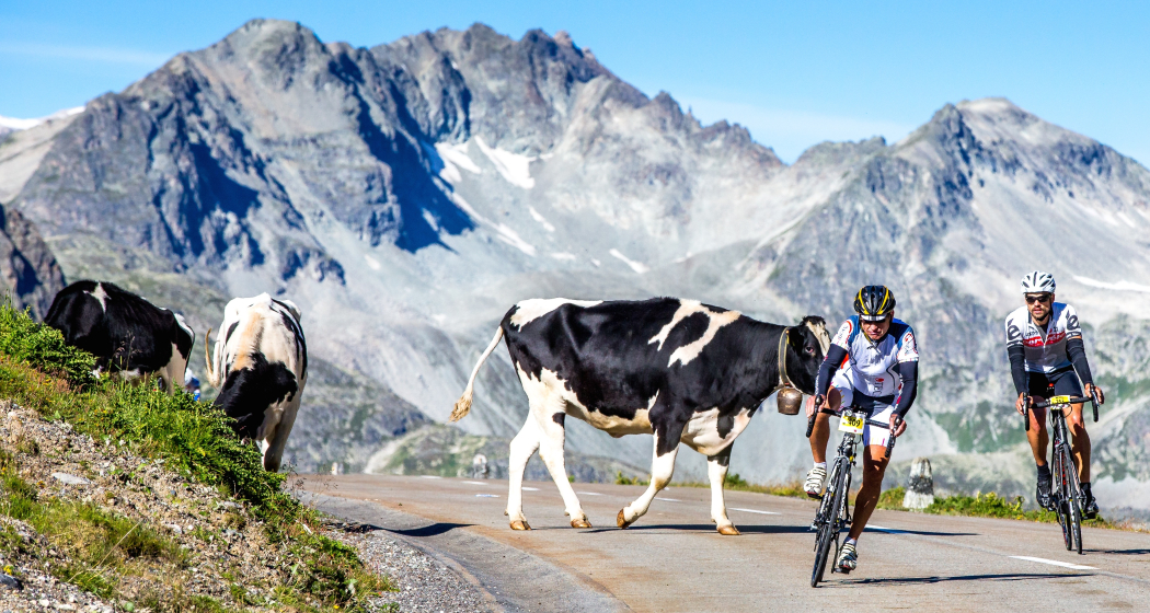 Teilnehmer der Alpen Challenge am Albulapass. Teilnehmer der Alpen Challenge am Albulapass.