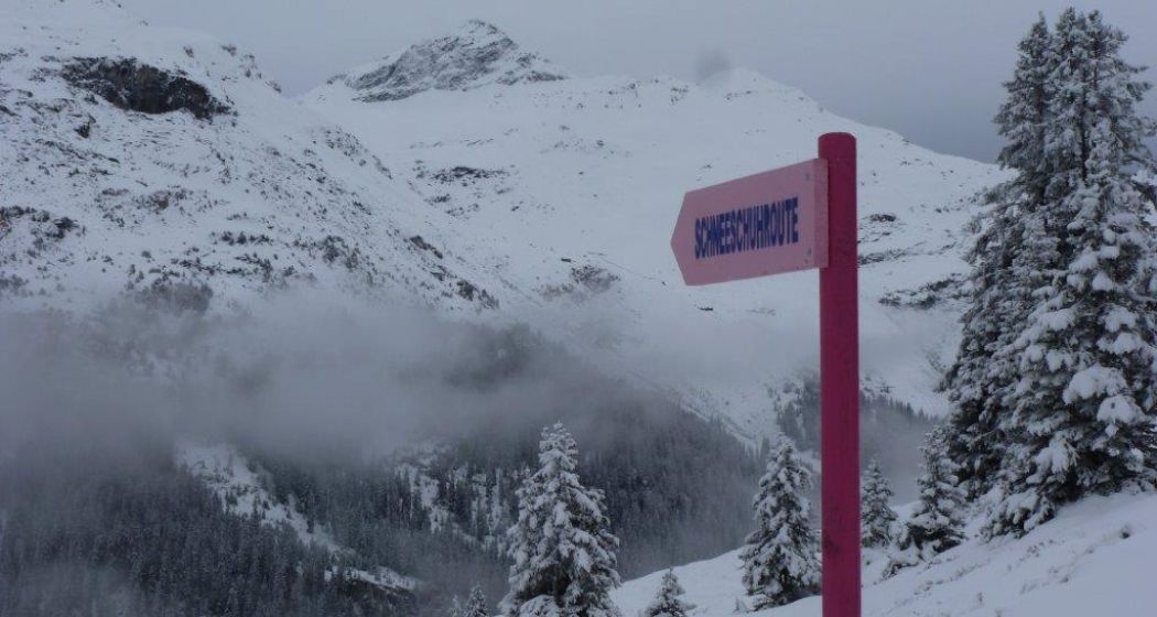 Schneeschuh-Route Bidanätsch Schneeschuh-Route Bidanätsch