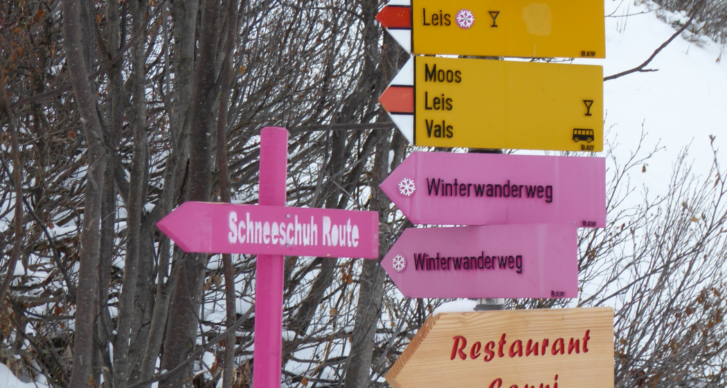 Schneeschuh-Route Bidanätsch Schneeschuh-Route Bidanätsch
