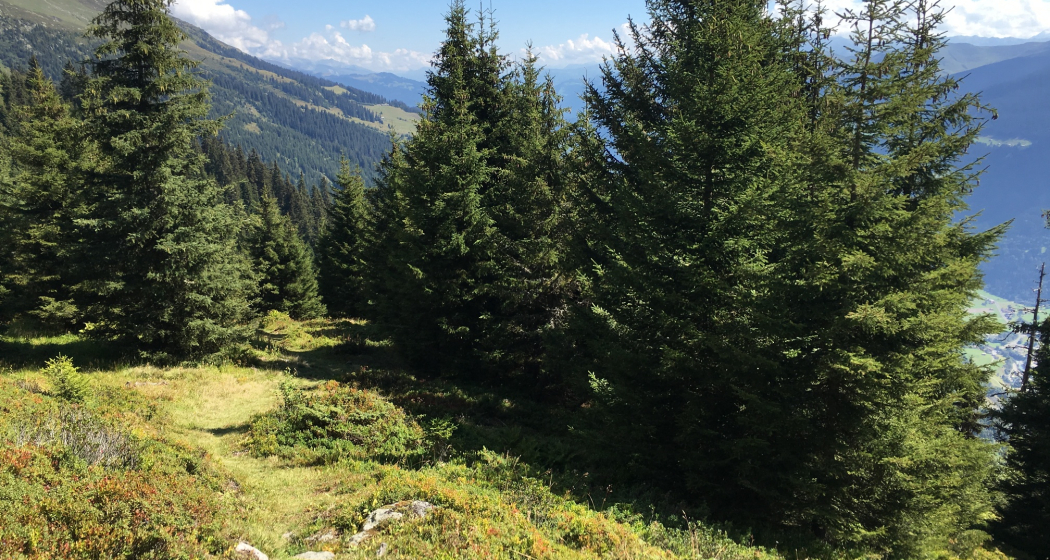 Trun Bergrunde (oua_20182883_image)