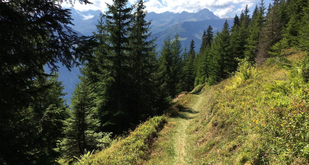 Trun Bergrunde (oua_20182885_image)