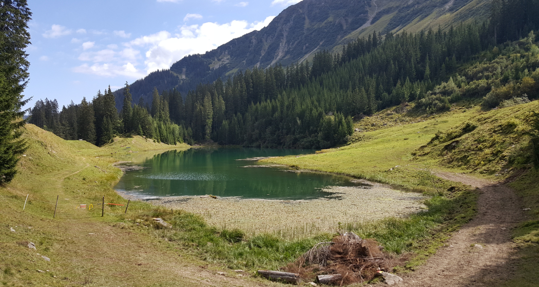 Lag da Laus eingebettet in Wiesen und Wälder