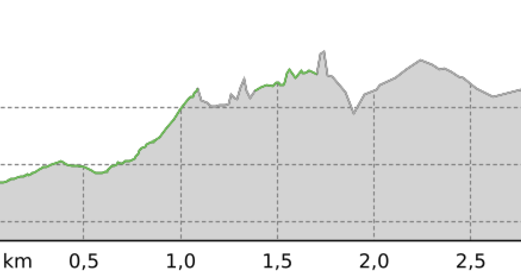 Pista Fracch (oua_20766494_bb94c9b_profile) Pista Fracch (oua_20766494_bb94c9b_profile)
