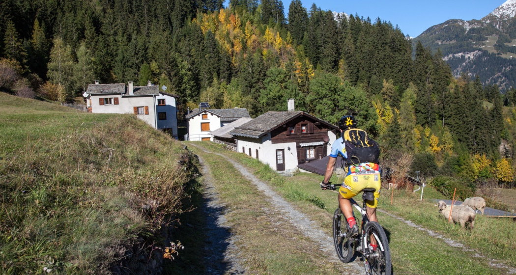 431 Granpanoramica Poschiavina (oua_21742294_image) 431 Granpanoramica Poschiavina (oua_21742294_image)