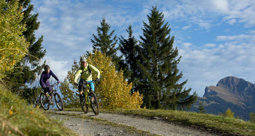 615 Biketicket to ride blau