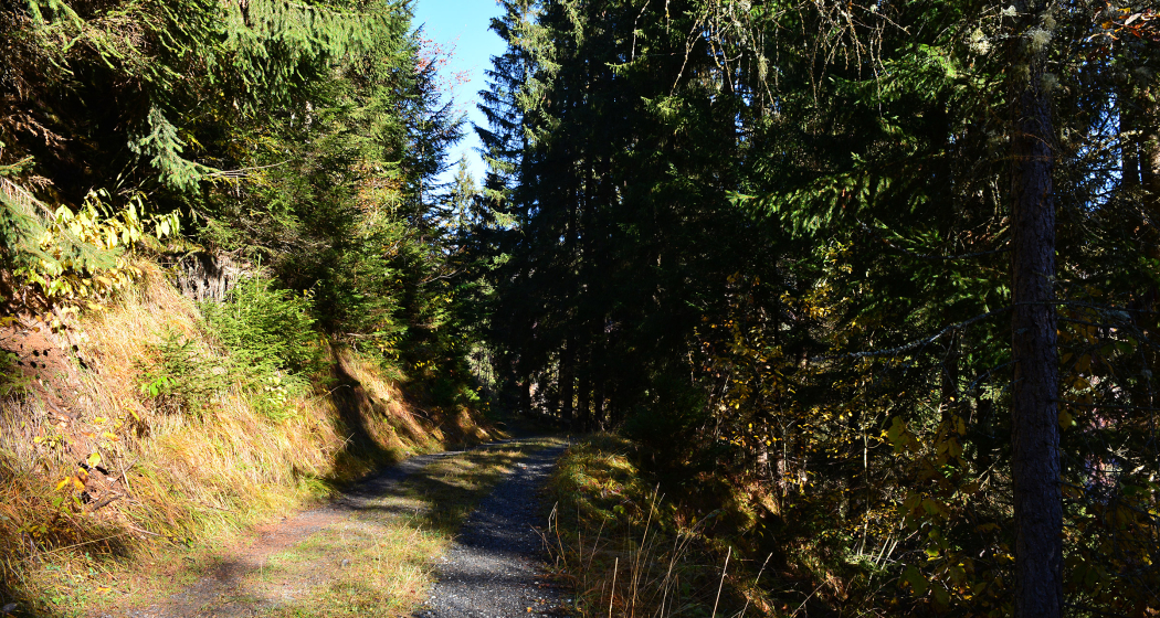 Unterwegs auf dem Spazierweg Unterwegs auf dem Spazierweg