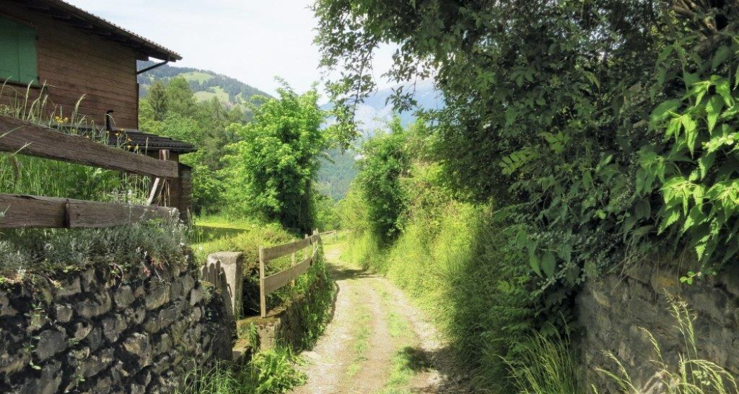 Wanderweg nach Chur Wanderweg nach Chur