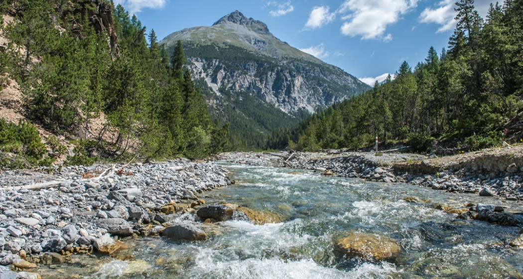 Landschaftlich reizvolle Rundwanderung auf der Nationalpark Wanderroute 15 (Munt la Schera) (oua_22647036_image) Landschaftlich reizvolle Rundwanderung auf der Nationalpark Wanderroute 15 (Munt la Schera) (oua_22647036_image)