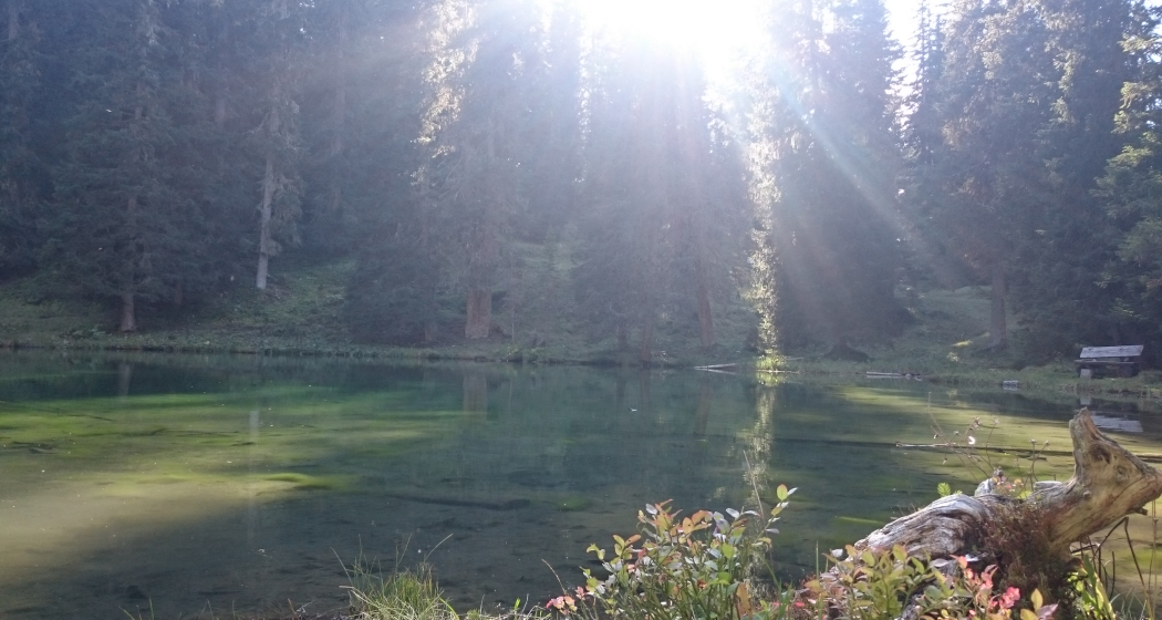 Das Grüenseeli in der Abendsonne Das Grüenseeli in der Abendsonne