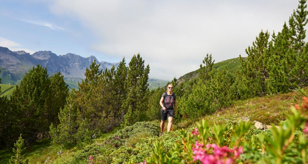 Wanderwege führen zum Hauptichopf Wanderwege führen zum Hauptichopf