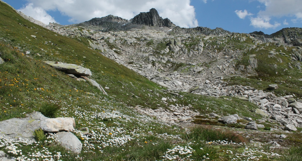 weglos mit Blick auf den Krüzlistock weglos mit Blick auf den Krüzlistock