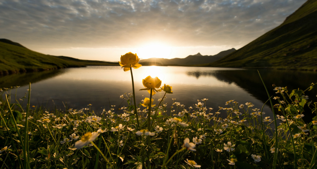 Clunerseen Clunerseen