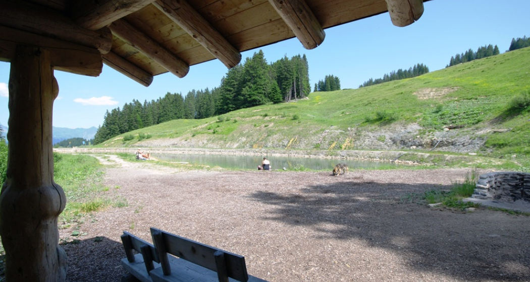 Grillplatz / Feuerstelle Speichersee Furna (oua_23362763_image) Grillplatz / Feuerstelle Speichersee Furna (oua_23362763_image)