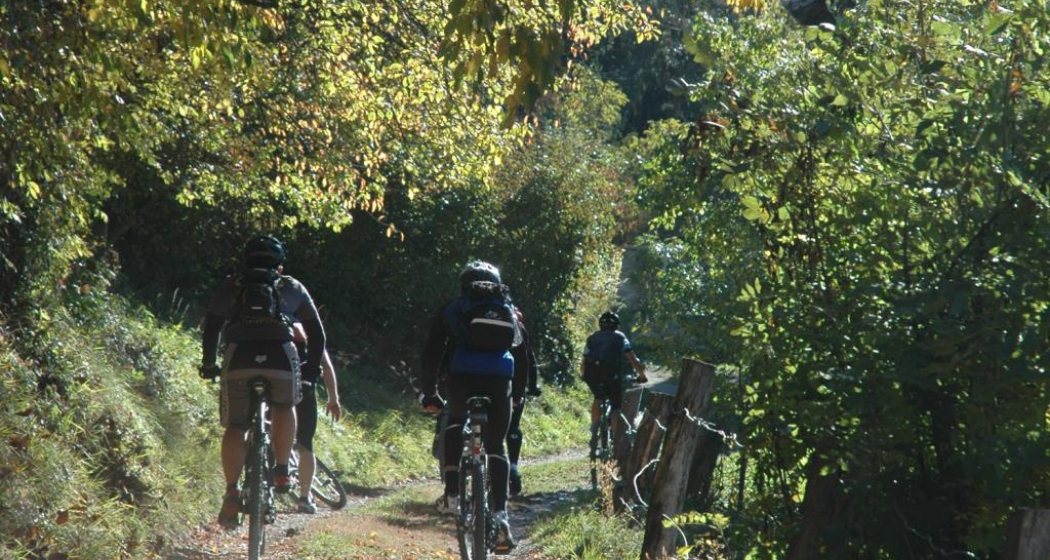 Biker auf dem Waldweg Biker auf dem Waldweg