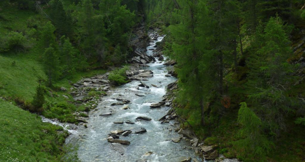 Ragn da Ferrera Ragn da Ferrera